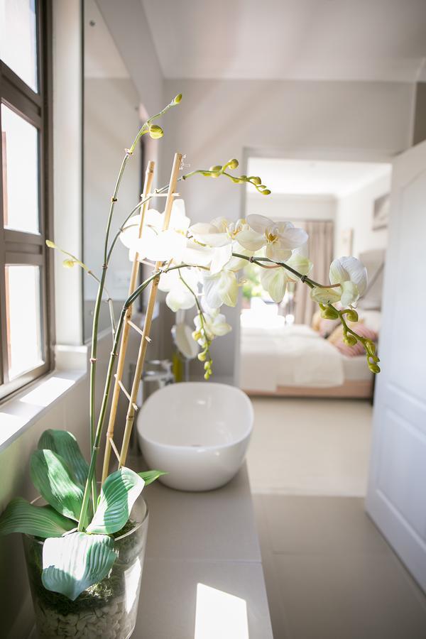 Christofphs Bed and Breakfast Bonnievale Εξωτερικό φωτογραφία